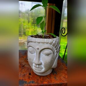 hi, I'm Tracy 🇨🇦